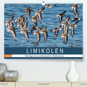 Limikolen – Watvögel am norddeutschen Wattenmeer (Premium, hochwertiger DIN A2 Wandkalender 2022, Kunstdruck in Hochglanz) von Wünsche,  Arne