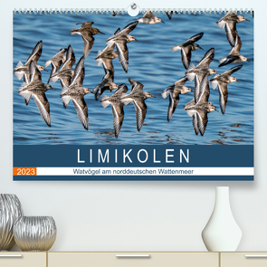 Limikolen – Watvögel am norddeutschen Wattenmeer (Premium, hochwertiger DIN A2 Wandkalender 2023, Kunstdruck in Hochglanz) von Wünsche,  Arne