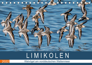 Limikolen – Watvögel am norddeutschen Wattenmeer (Tischkalender 2022 DIN A5 quer) von Wünsche,  Arne