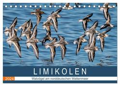 Limikolen – Watvögel am norddeutschen Wattenmeer (Tischkalender 2024 DIN A5 quer), CALVENDO Monatskalender von Wünsche,  Arne