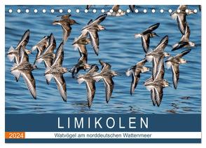 Limikolen – Watvögel am norddeutschen Wattenmeer (Tischkalender 2024 DIN A5 quer), CALVENDO Monatskalender von Wünsche,  Arne