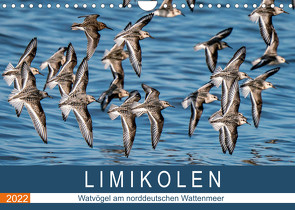 Limikolen – Watvögel am norddeutschen Wattenmeer (Wandkalender 2022 DIN A4 quer) von Wünsche,  Arne