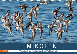 Limikolen – Watvögel am norddeutschen Wattenmeer (Wandkalender 2023 DIN A2 quer) von Wünsche,  Arne