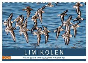 Limikolen – Watvögel am norddeutschen Wattenmeer (Wandkalender 2024 DIN A2 quer), CALVENDO Monatskalender von Wünsche,  Arne