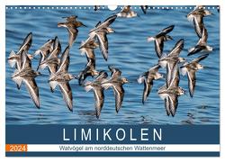 Limikolen – Watvögel am norddeutschen Wattenmeer (Wandkalender 2024 DIN A3 quer), CALVENDO Monatskalender von Wünsche,  Arne