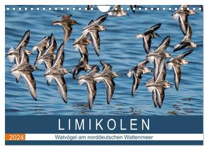 Limikolen – Watvögel am norddeutschen Wattenmeer (Wandkalender 2024 DIN A4 quer), CALVENDO Monatskalender von Wünsche,  Arne