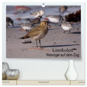 Limikolen Watvögel auf dem Zug (hochwertiger Premium Wandkalender 2024 DIN A2 quer), Kunstdruck in Hochglanz von Erlwein,  Winfried