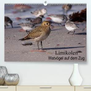 Limikolen Watvögel auf dem Zug (Premium, hochwertiger DIN A2 Wandkalender 2021, Kunstdruck in Hochglanz) von Erlwein,  Winfried