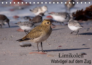 Limikolen Watvögel auf dem Zug (Tischkalender 2022 DIN A5 quer) von Erlwein,  Winfried