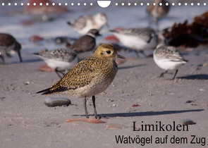 Limikolen Watvögel auf dem Zug (Wandkalender 2022 DIN A4 quer) von Erlwein,  Winfried