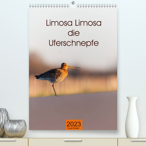 Limosa Limosa die Uferschnepfe (Premium, hochwertiger DIN A2 Wandkalender 2023, Kunstdruck in Hochglanz) von Riedel,  Tanja