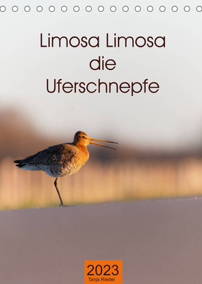 Limosa Limosa die Uferschnepfe (Tischkalender 2023 DIN A5 hoch) von Riedel,  Tanja