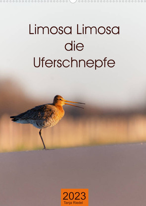 Limosa Limosa die Uferschnepfe (Wandkalender 2023 DIN A2 hoch) von Riedel,  Tanja