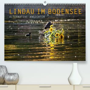 Lindau im Bodensee – Alternative Ansichten (Premium, hochwertiger DIN A2 Wandkalender 2020, Kunstdruck in Hochglanz) von Wuchenauer pixelrohkost.de,  Markus