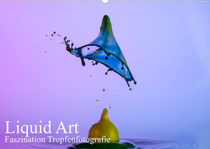 Liquid Art, Faszination Tropfenfotografie (Wandkalender 2023 DIN A2 quer) von Josef Schüler,  Karl