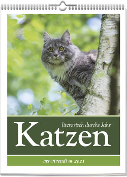 Katzen – literarisch durchs Jahr 2021