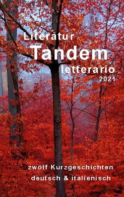 Literatur Tandem letterario -2021 von Heimann-Stiftung