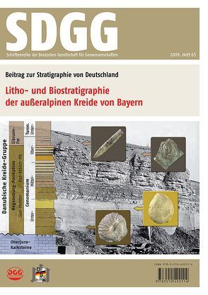 Litho- und Biostratigraphie der außeralpinen Kreide von Bayern von Niebuhr,  Birgit