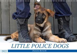 Little Police Dogs (Wandkalender 2022 DIN A3 quer) von Bertschi,  Daniela