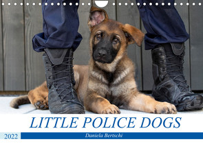 Little Police Dogs (Wandkalender 2022 DIN A4 quer) von Bertschi,  Daniela