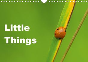 Little Things (Wandkalender 2018 DIN A4 quer) von Tickell,  David