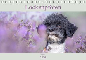 Lockenpfoten 2020 (Tischkalender 2020 DIN A5 quer) von Böke-Bergau,  Sabine