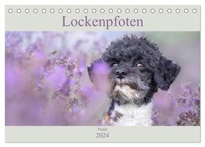 Lockenpfoten 2024 (Tischkalender 2024 DIN A5 quer), CALVENDO Monatskalender von Böke-Bergau www.boegau.de,  Sabine