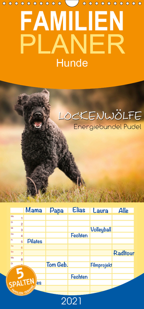 Lockenwölfe – Energiebündel Pudel – Familienplaner hoch (Wandkalender 2021 , 21 cm x 45 cm, hoch) von Hollstein,  Alexandra