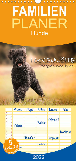 Lockenwölfe – Energiebündel Pudel – Familienplaner hoch (Wandkalender 2022 , 21 cm x 45 cm, hoch) von Hollstein,  Alexandra