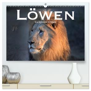 Löwen. Die Könige Afrikas (hochwertiger Premium Wandkalender 2024 DIN A2 quer), Kunstdruck in Hochglanz von Styppaa,  Robert