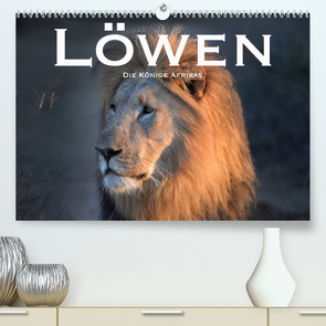 Löwen. Die Könige Afrikas (Premium, hochwertiger DIN A2 Wandkalender 2023, Kunstdruck in Hochglanz) von Styppaa,  Robert