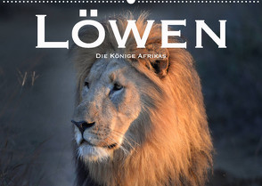 Löwen. Die Könige Afrikas (Wandkalender 2022 DIN A2 quer) von Styppaa,  Robert