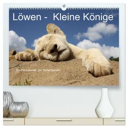 Löwen – Kleine Könige (hochwertiger Premium Wandkalender 2024 DIN A2 quer), Kunstdruck in Hochglanz von Sander,  Stefan