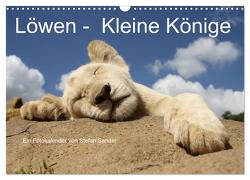 Löwen – Kleine Könige (Wandkalender 2024 DIN A3 quer), CALVENDO Monatskalender von Sander,  Stefan