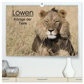 Löwen – Könige der Tiere (hochwertiger Premium Wandkalender 2024 DIN A2 quer), Kunstdruck in Hochglanz von Sander,  Stefan