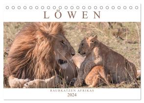 Löwen – Raubkatzen Afrikas (Tischkalender 2024 DIN A5 quer), CALVENDO Monatskalender von Lippmann,  Andreas