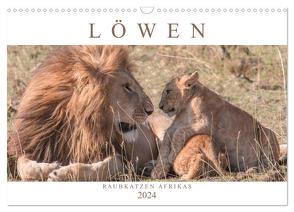 Löwen – Raubkatzen Afrikas (Wandkalender 2024 DIN A3 quer), CALVENDO Monatskalender von Lippmann,  Andreas