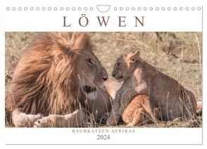 Löwen – Raubkatzen Afrikas (Wandkalender 2024 DIN A4 quer), CALVENDO Monatskalender von Lippmann,  Andreas