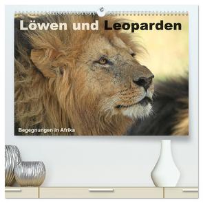 Löwen und Leoparden – Begegnungen in Afrika (hochwertiger Premium Wandkalender 2024 DIN A2 quer), Kunstdruck in Hochglanz von Herzog,  Michael