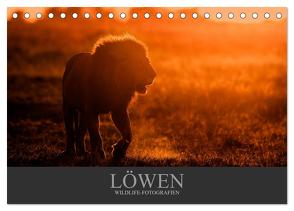 Löwen Wildlife-Fotografien (Tischkalender 2024 DIN A5 quer), CALVENDO Monatskalender von Krutz,  Christina