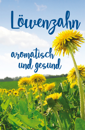 Löwenzahn – aromatisch und gesund von Nitzsche,  Grit