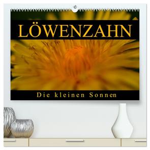 Löwenzahn – Die kleinen Sonnen (hochwertiger Premium Wandkalender 2024 DIN A2 quer), Kunstdruck in Hochglanz von Kaden,  Cathrin