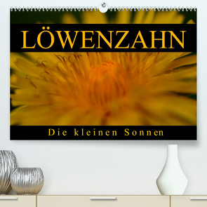 Löwenzahn – Die kleinen Sonnen (Premium, hochwertiger DIN A2 Wandkalender 2023, Kunstdruck in Hochglanz) von Kaden,  Cathrin