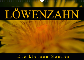 Löwenzahn – Die kleinen Sonnen (Wandkalender 2021 DIN A3 quer) von Kaden,  Cathrin