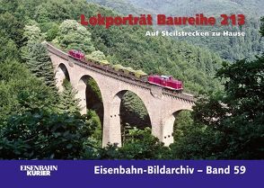 Lokporträt Baureihe 213