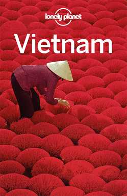 Lonely Planet Reiseführer Vietnam von Stewart,  Iain