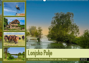 Lonjsko Polje, Kroatiens Naturparadies an der Save (Wandkalender 2022 DIN A2 quer) von Di Chito,  Ursula