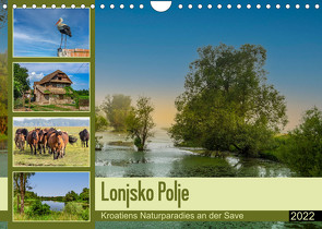 Lonjsko Polje, Kroatiens Naturparadies an der Save (Wandkalender 2022 DIN A4 quer) von Di Chito,  Ursula