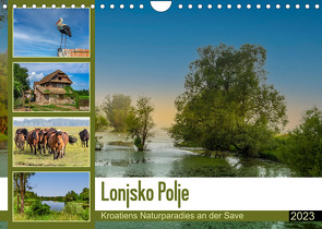 Lonjsko Polje, Kroatiens Naturparadies an der Save (Wandkalender 2023 DIN A4 quer) von Di Chito,  Ursula