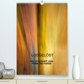 Losgelöst (Premium, hochwertiger DIN A2 Wandkalender 2022, Kunstdruck in Hochglanz) von Praher,  Kurt